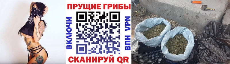 Псилоцибиновые грибы Psilocybine cubensis  купить наркотик  Слободской 
