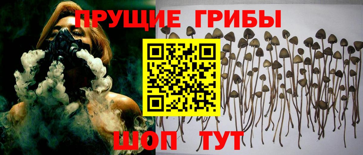 Галлюциногенные грибы мухоморы Слободской