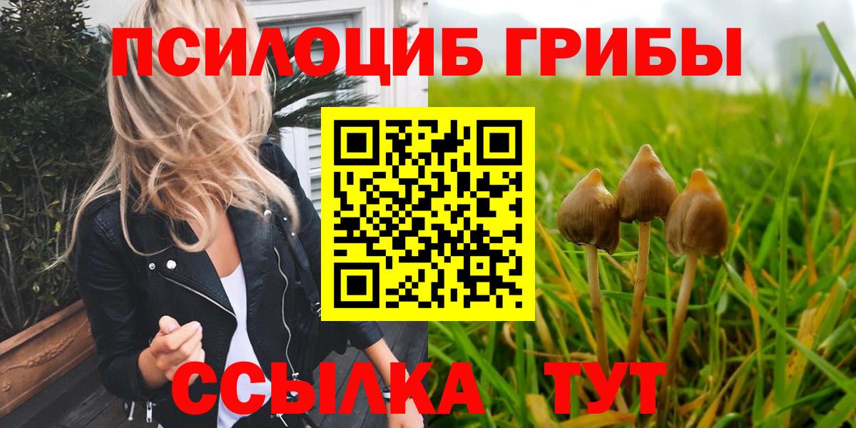 Псилоцибиновые грибы GOLDEN TEACHER  Вход с VPN  Галлюциногенные грибы Magic Shrooms  купить наркотик  Слободской 